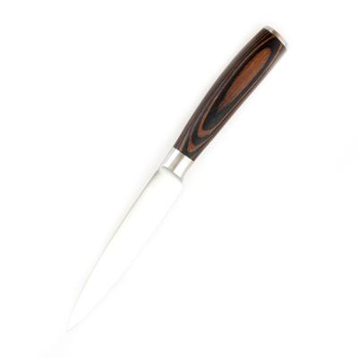 China 5 Inch Viable High Quality Color Handle Stainless Steel Kitchen Knife Wooden Serving Knife for sale