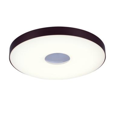 China AVENANT Contemporary Nordic Aluminum Ceiling Light Outdoor Mounted Round Flush Mount Ceiling Lamp Modern Elegant LED Ceiling Lamp for sale