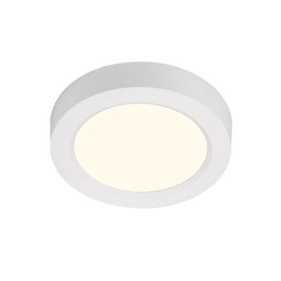 China Modern Minimalist Ceiling Light Outdoor Mounted Around Hallway Flat Panel Living Room Ceiling Lamp Flush Mount LED Ceiling Lamp for sale