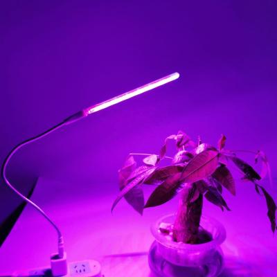 China Seed Starting Plant Supply Simple Design USB LED Small Grow Light For Indoor Succulent Plant for sale