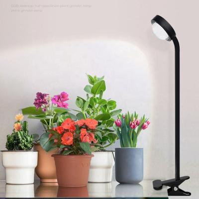 China Seed Starting Desk Grow Plant Lamps 10W UV Light Plant Growing Lights Full Spectrum With 360 Degree Adjustable Gooseneck For Succulent Seedling for sale