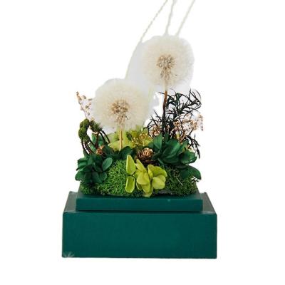 China Natural Touch Novelty Design Eternal Flower Dandelion Box Dandelion Forever Flower Acrylic Box Preserved for sale