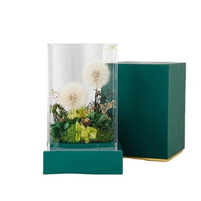 China Natural Touch Eternal Rectangle Acrylic Forever Preserved Flowers Dandelion In Acrylic Gift Box Preserved for sale