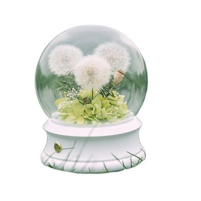 China Dandelion Music  Speaker Eternal Flower Gift Box Dandelion Ornament Glass Cover Dried Flower Bouquet for sale