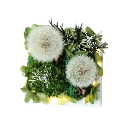 China Natural Touch Bouquet Christmas Birthday Gift Acrylic Box Home Decoration Eternal Flower Dandelion for sale