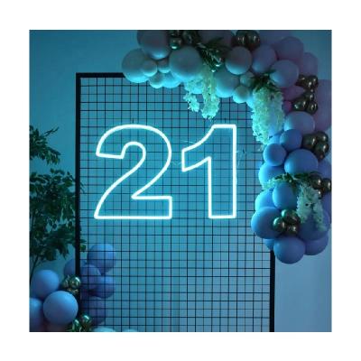 China Indoor and Outdoor Custom Neon Sign Wall Mounted Birthday Decorations Party Sign Lighting Color 21 Changeable Number Led Neon Signs for sale