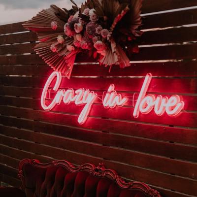 China Buildings factory sales romantic led neon sign for wedding party home decoration decor crazy in love neon lamp for sale