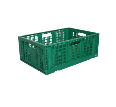 China Foldabe Feature Lightweight Collapsible Plastic Fruit Vegetable Storage Crate for sale