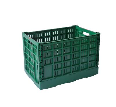 China Foldabe Feature Durable Lightweight Folding Plastic Fruit Vegetable Storage Crate 600x400x400 mm for sale