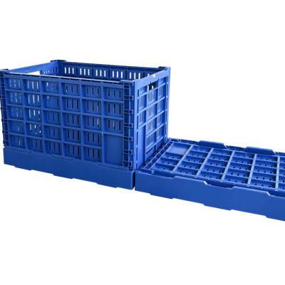 China Foldabe Reusable Foldable Mesh Type 600x400x400 mm Plastic Crate Storage Crate For Fruit And Vegetable Transport for sale