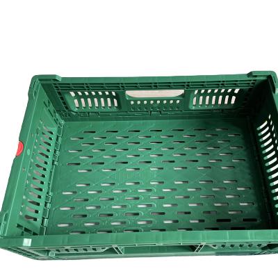 China Foldabe Reusable Collapsible Feature 500x330x170 mm Perforated Type Storage Folding Plastic Crate For Fruits And Vegetables for sale