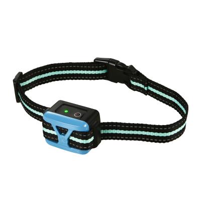 China Viable Dog Training Collar Dog Agility Equipment Hot Dog Remote Shock for sale