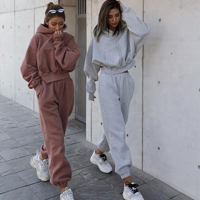 China 2020 winter gym culture anti-pilling top oversized sweatshirt anti-pilling jogger two-piece hoodie sets women's clothing for sale