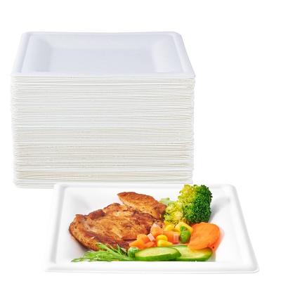 China Eco-Friendly Stocked Biodegradable Square Disposable Paper Plates 8 Inch Compostable Disposable Dishes Disposable Dishes Sugar Cane Eco-Friendly Resistant Dishes For Party for sale