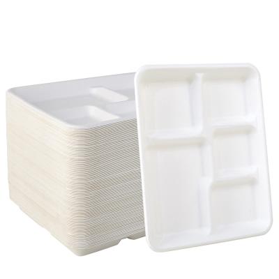 China Disposable 5 Compartment Disposable Eco-Friendly Bagasse Bagasse Disposable Eco-Friendly Stored School Lunch Tray Perfect Biodegradable Sugarcane for Boys and Girls for sale