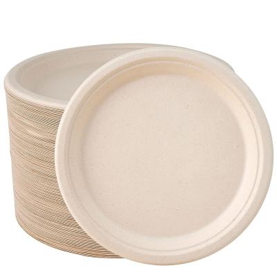 China Compostable Biodegradable Stocked Eco Friendly Disposable Super Strong Paper Plate 10 Inch Paper Plate 100% Eco-Friendly Natural Biodegradable Bagasse Sugar Cane Dishes for sale