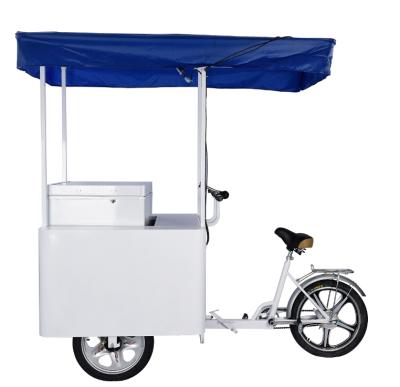 China BD/Because-108 108litre 12v DC Aluminum Solar Freezer Tricycle Electric Bike Cargo for sale