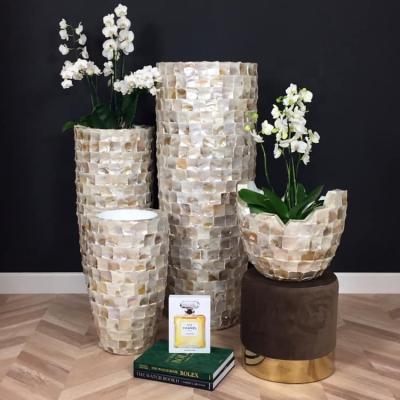 China Factory Direct Sale CLASSIC Vases for Decoration Shell Vase Flower Natural Flower Pot for sale