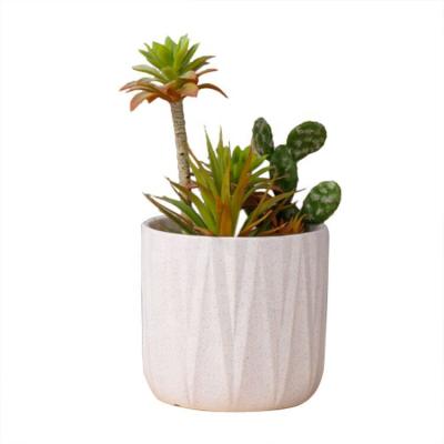 China Mini Nordic Modern Style Succulent Pastoral Garden Cactus Ceramic Flower Pot for sale