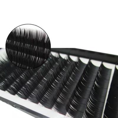 China DRIVWORLD Natural Long Hot Sale Professional Private Label Eyelash Extension Glue Extension Whips OEM for sale