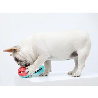 China Luxury Eco-Friendly Dogs Interactive Safe Toys Molar Training Pet Ball Pet Toothbrush for sale