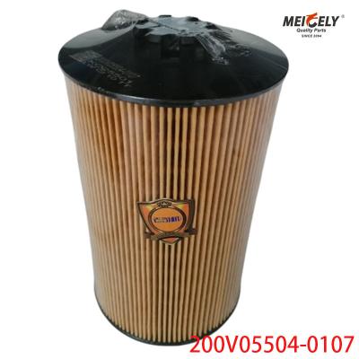 China Motor diesel de stock 200V05504-0107 Filtro de aceite Sinotruk SITRAK T7H en venta