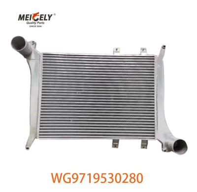 Κίνα Hot Selling Oem WG9719530280 For Howo Intercooler Assembly WG9719530281 προς πώληση