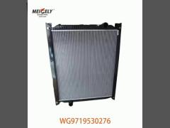 Original WG9719530276 Radiator Assembly WG9725530270 Fit For HOWO Truck