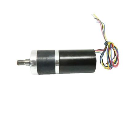 China Hot Sale 12V Drip Proof High Torque Factory Boat Door Lock Trigger RPM Micro Brushless DC Motor for sale