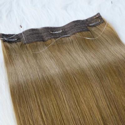 China Silky Straight Wave 2022 Brown Blonde Color 6# 60# Clip New For In Hair Extensions Hair for sale