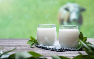 China Food Additive DMG95 Emulsifiers And Stabilizers Prevent Possible Stratification In Milk for sale