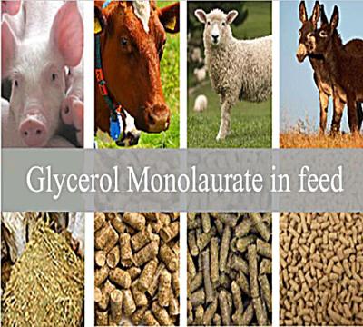 China Añadidos de la alimentación: El glicerol Monolaurate GML80 se pulveriza para el animal en venta