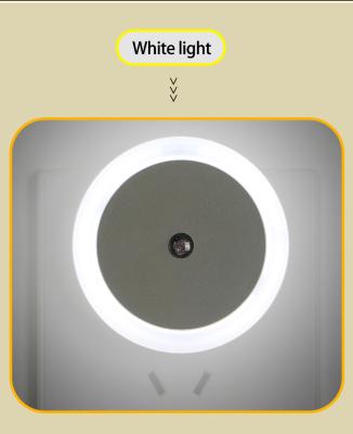 China Bedroom/Living Room Light Sensor Night Light High and Low Modes Warm White Blue LED Lamp for Bedroom for sale