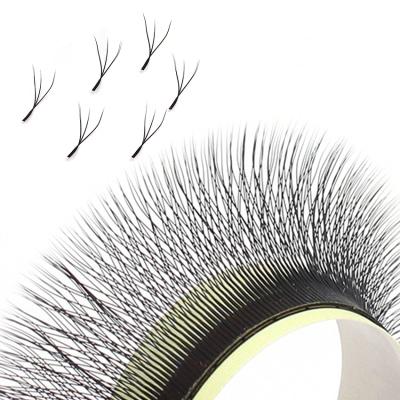 China New Arrival Soft Natural W Shaped Volume Fan Premade Soft Natural Clover Eyelash Wick With Wholesale Price for sale