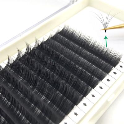 China Russian Supplier Camellia Eyelash Extensions Natural Custom Brand Packaging for sale