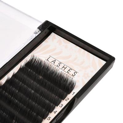 China Natural Wholesale OEM Handmade Camellia Customized Different Package Black Eyelashes Volume Eyelash Transplant Extensions for sale