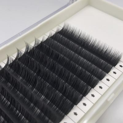 China Natural camellia lashes super soft and natural thick volume lashes different extension mink lashes for sale