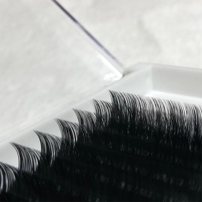 China OEM Professional Natural Camellia Lashes Eyelashes Extension for sale