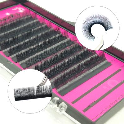 China Natural Long Private Label Lash Matte Bulk Silk EFlat Individual Eyelash Extension Whips Flat Silk Eyelashes Extension for sale