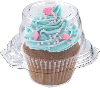 China Different Eco Friendly Disposable Stocked Biodegradable Plastic Cupcake Containers With Connected Airtight Dome Lid (50 Count) for sale