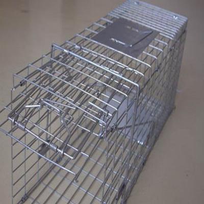 China Metal Mouse Trap Cage Multi Animal Rat Cages Rat Traps Cage for sale