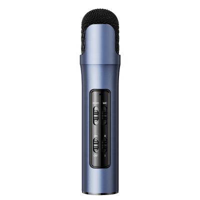 China Adjustable Emission Live Steaming Mini Wired MIC Volume Fashion P1 USB Studio Recording Condenser Microphone/Echo/Pretty Recording Microphone with Karaoke Function for sale