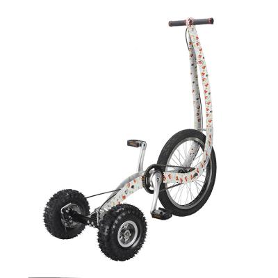 China 2019 New Model Alloy Aluminum Rack Up Half Exercise Bike Three Wheel Tricycle , Motorcycle for sale