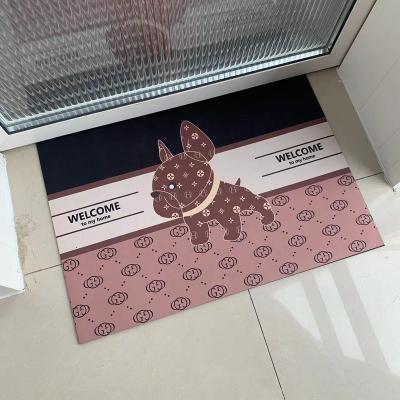 China Dongwo Washable Durable Non Slip Abrasion Indoor Front Door Mats Fashion Resistant Door Mat Washable Home Door Mat Easy To Clean for sale