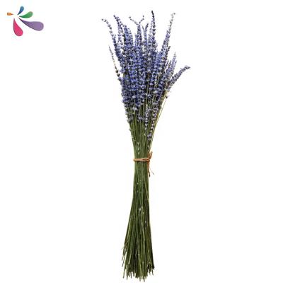 China Wholesale Dry Natural Lavender Flowers 100% Pure Bouquet Decoration Home And Wedding Decoration Material for sale