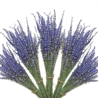 China 2020 Hot Selling Natural Touch Natural Dried Flower Dried Bouquet Dried Lavender For Wedding Home Decoration for sale