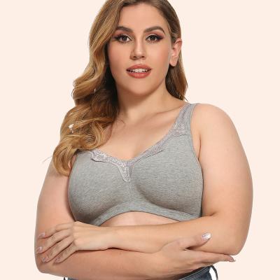 China Dropshipping breathable girls shape simple solid color push up T-shirt bra wireless comfort women seamless bra shopping women seamless bra for sale