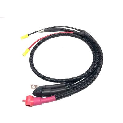 China Custom Automotive Engine Wiring Harness Electrical Cable Assembly Manufacturer for sale