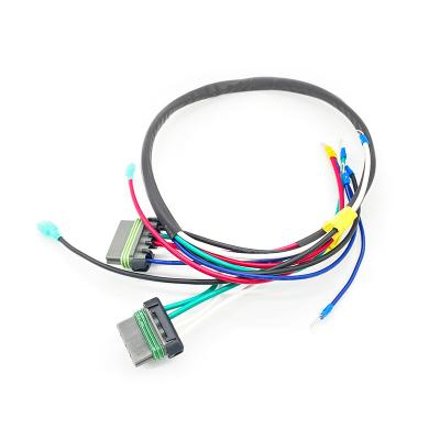 China Automobile OEM Wiring Loom ODM Customized Auto Wire Harness Cable Assembly Kit for sale