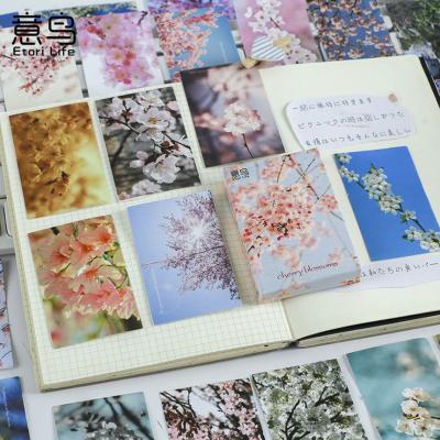 China Waterproof+Eco-friendly 30pcs Sakura Words Boxed Kawaii Stickers Decorative Scrapbooking Stickers Gifts for Kids for sale